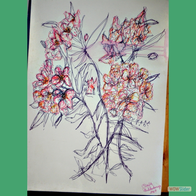 Rhododendronzweige